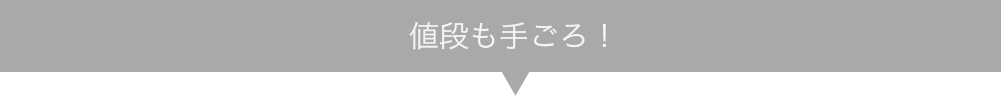 値段も手ごろ!