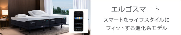 エルゴスマート
