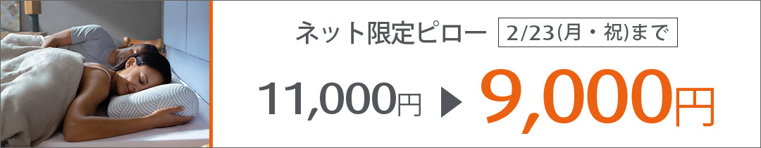 イーズサポートピロー