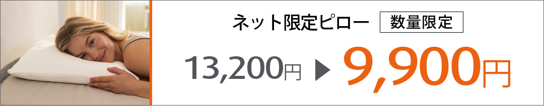 イーズハグピロー 枕 セール