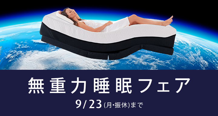 半年間使用 美品ベッド