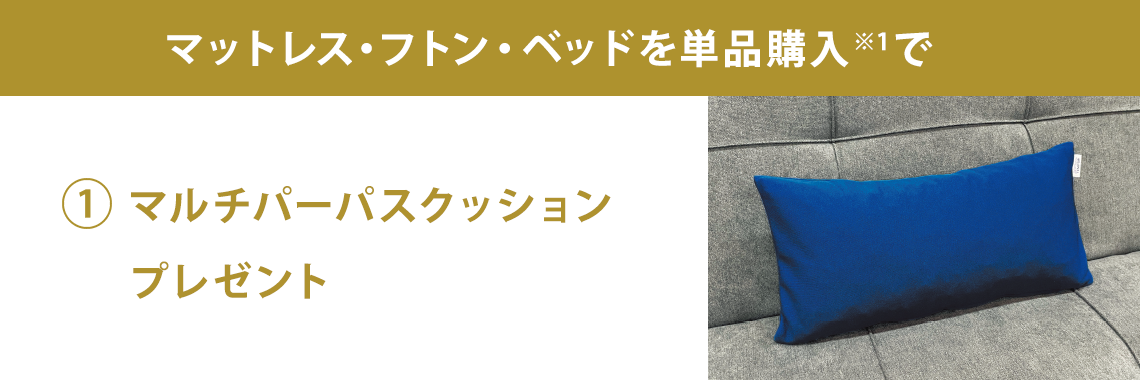 マルチパーパスクッションプレゼント