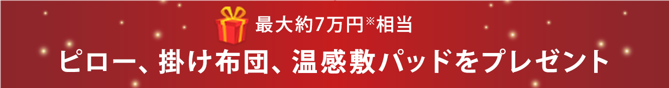 最大約8万円※相当 ピロー、掛け布団、温感敷パッドをプレゼント