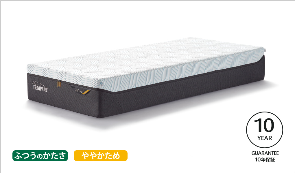 プロ リュクス スマートクール
