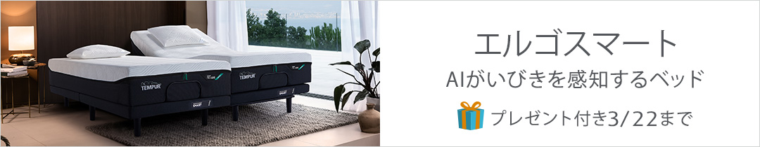 エルゴスマート