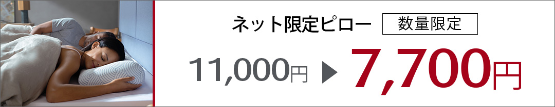 イーズサポートピロー