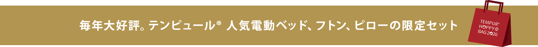 毎年大好評。テンピュール<sup>&reg;</sup> 人気電動ベッド、フトン、ピローの限定セット