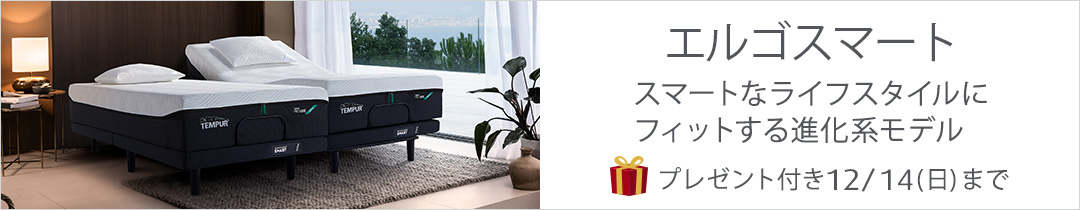 エルゴスマート