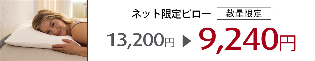 イーズ ハグ ピロー 枕