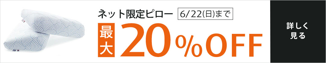 ネット限定 イーズサポート ピロー